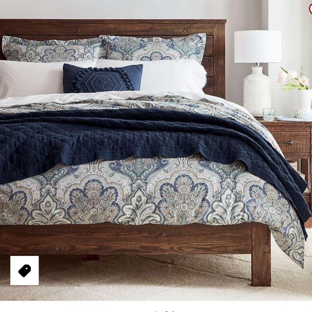 Pottery Barn Jordana paisley King duvet and Euro Shams cover